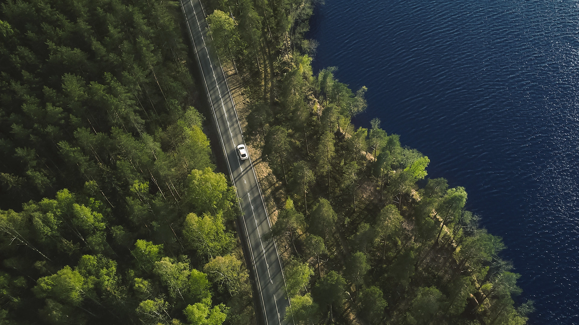 Auto ajaa metsien ympäröimällä tiellä.